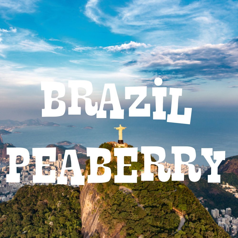 Brazil Peaberry Coffee, Ground, Fresh Roasted, 5 lbs