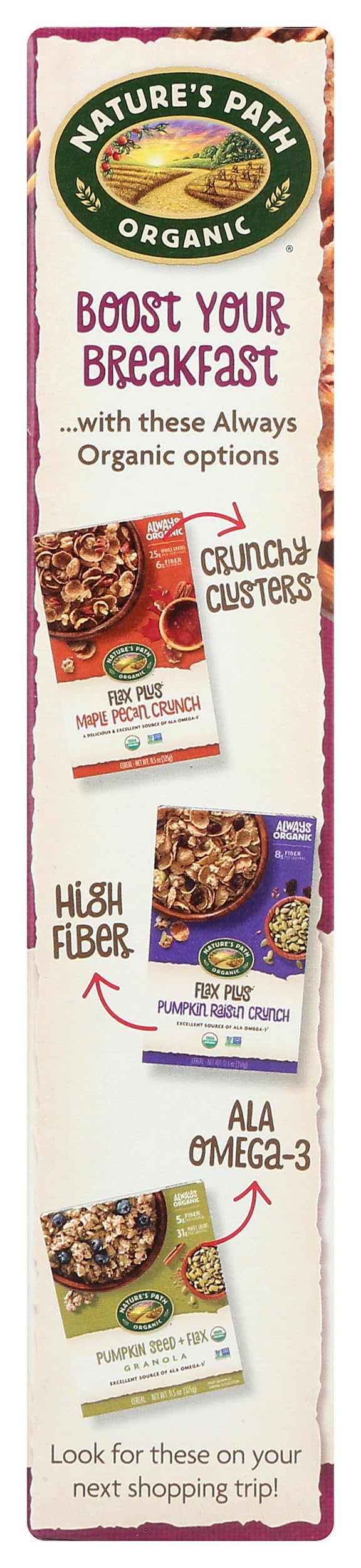 Natures Path, Cereal Flax Plus Raisin Bran Organic, 14 Ounce
