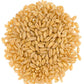 Soft White Wheat Berries | 5 Lbs | Family Farmed In Washington State | 100% Desiccant Free | Non-Gmo Project Verified | 100% Non