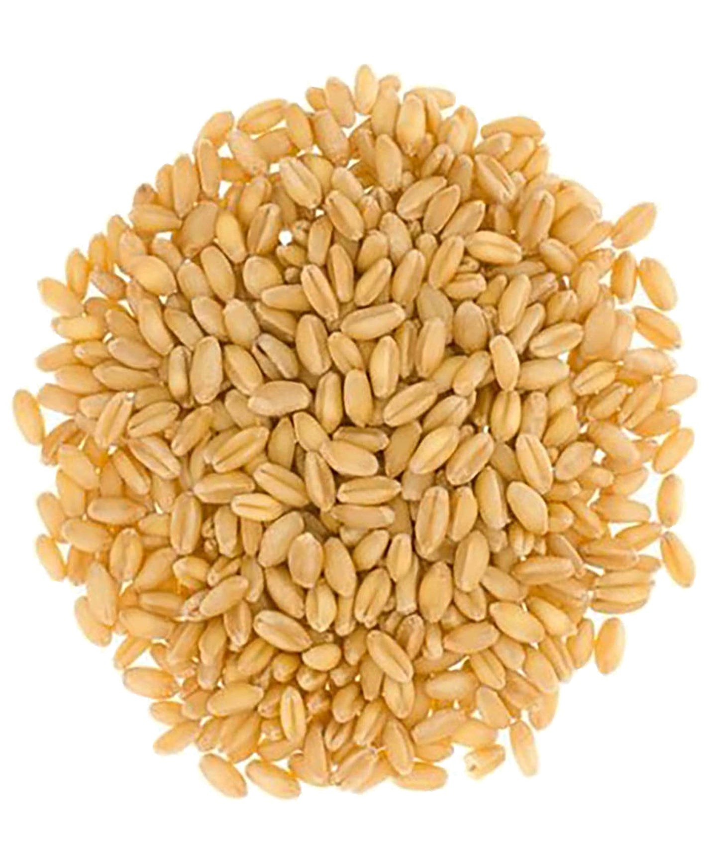Soft White Wheat Berries | 5 Lbs | Family Farmed In Washington State | 100% Desiccant Free | Non-Gmo Project Verified | 100% Non