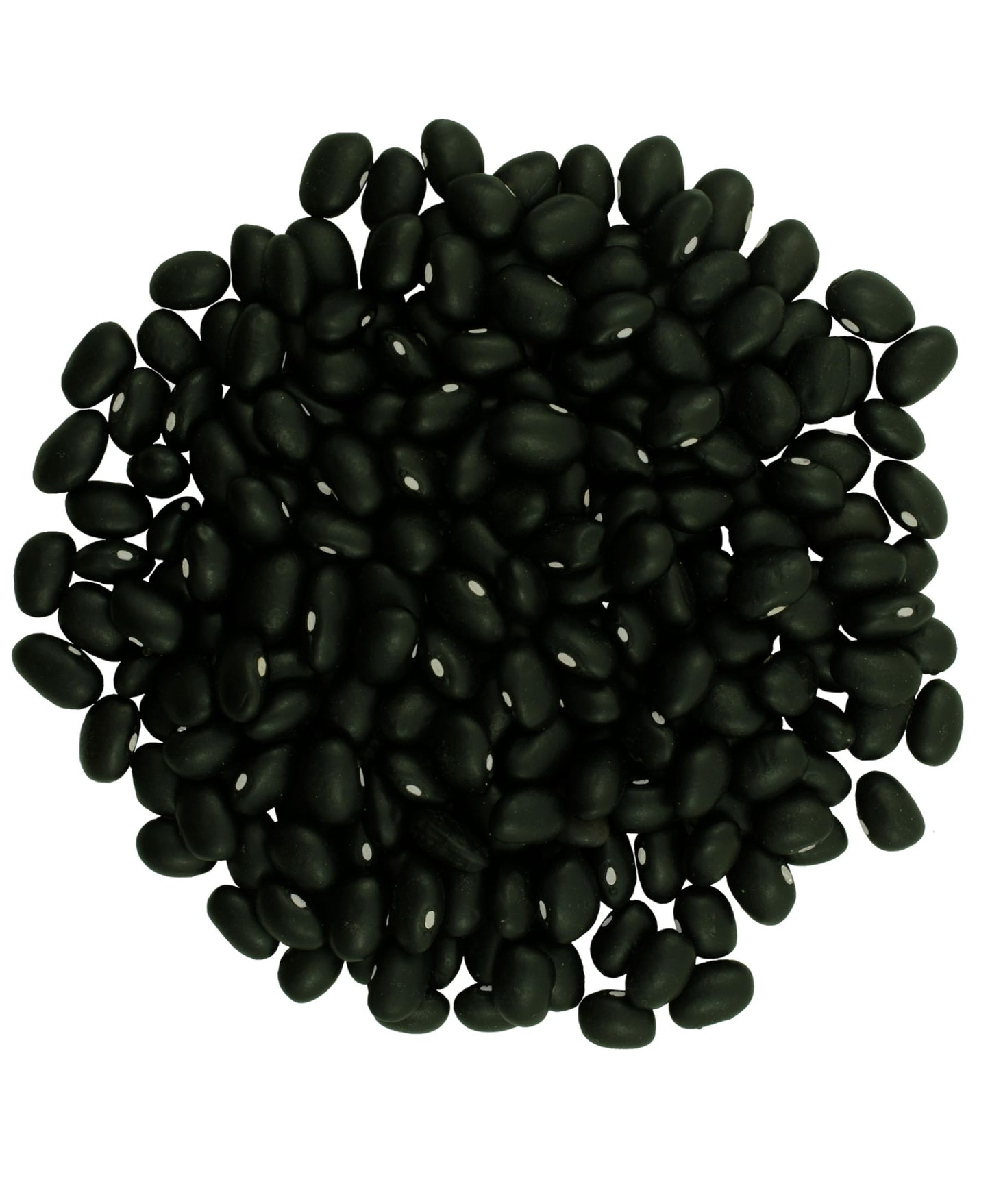 Washington State Black Beans | 1 Lb Resealable Bag | Non-Gmo | Vegan | Kosher | Non-Irradiated | Dry Black Beans | Frijoles Negr