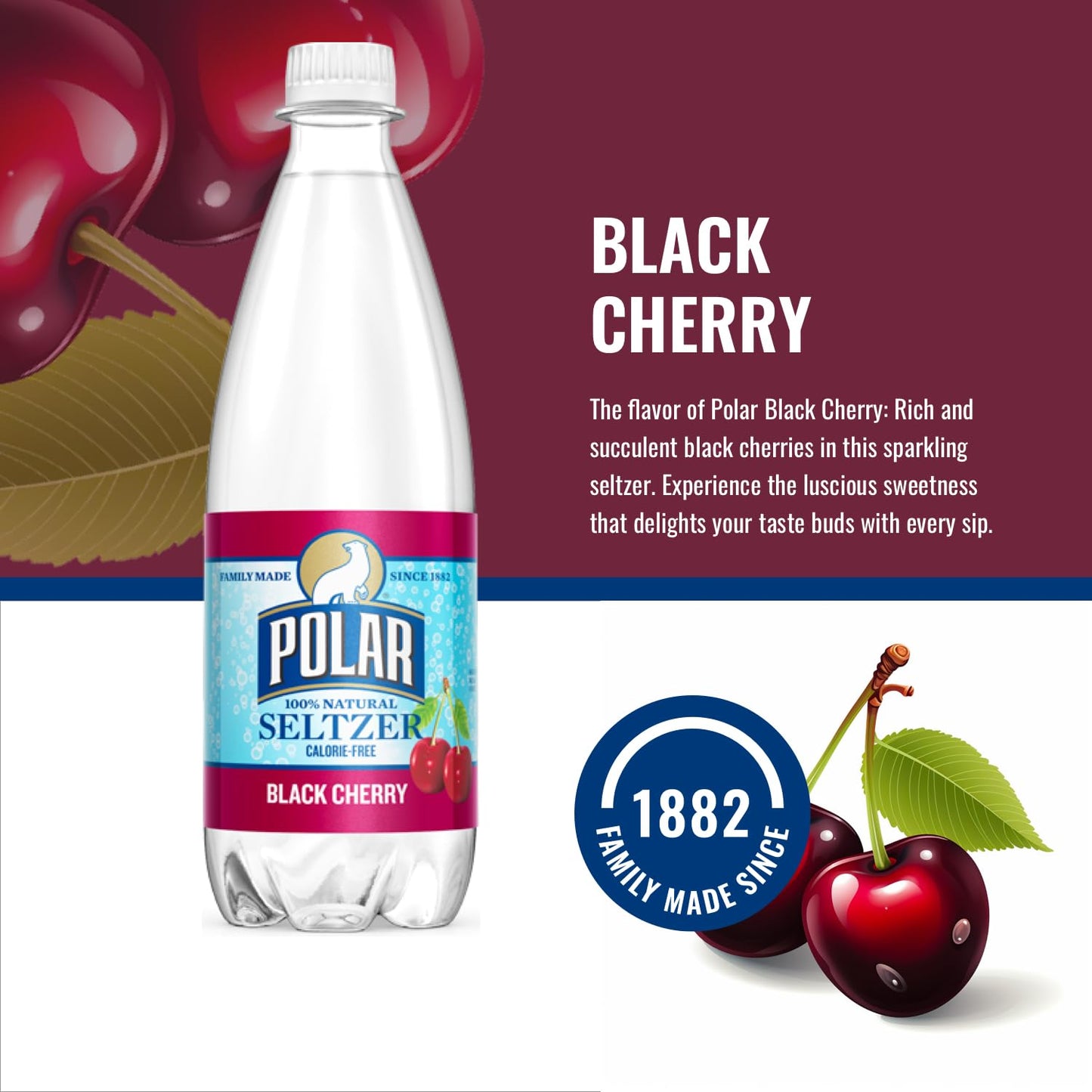Polar Beverages Seltzer Sparkling Water Variety Pack Flavored Seltzer Drinking Water 12 X 20 Ounce