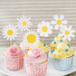 30 Pcs Daisy Cupcake Toppers, 6 Styles Daisy Flower Cake Picks Chrysanthemum Party Decorations For Spring Birthday Wedding Suppl