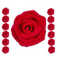 Confect Edible Crimson Pink Roses - 12-Pack Edible Roses for Cake Decoration - Bold Floral Toppers for Desserts- Vegan, Gluten-F