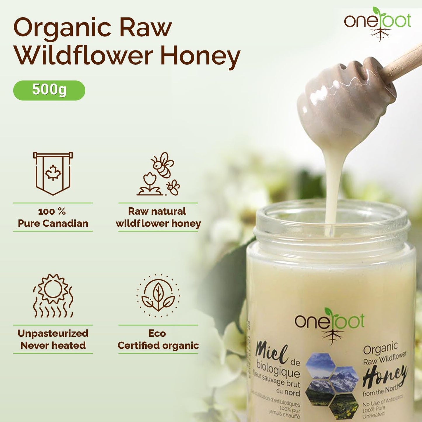 Oneroot 100% Organic Canadian Flower Honey - 17.6 Oz/1.1 Lbs, White Honey Wildflower Unfiltered, Unheated & Creamed, Nutrient Ri