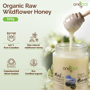 Oneroot 100% Organic Canadian Flower Honey - 17.6 Oz/1.1 Lbs, White Honey Wildflower Unfiltered, Unheated & Creamed, Nutrient Ri