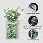 HUEBEATY 6-in-1 Edible Green Sprinkles for Cake & Cupcakes Decorating - Jimmies & Sugar Pearls - St. Patricks Day, Spring, Dinos