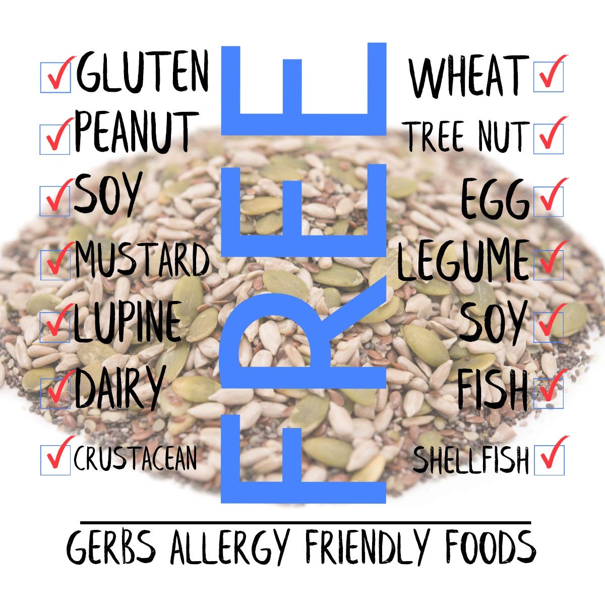 Gerbs Super 5 Seed Snack Mix 14 Oz. Premium Grade | Top 14 Food Allergy Free | Resealable Bulk Bag | Made In Usa | Raw Pumpkin S