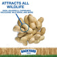 Countrymax In-Shell Raw Peanuts - Bulk Unprocessed For Wildlife Animal Food, Squirrels Chipmunks Raccoons Deer Waterfowl 25 Poun