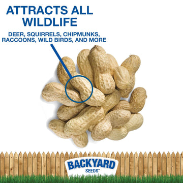 Countrymax In-Shell Raw Peanuts - Bulk Unprocessed For Wildlife Animal Food, Squirrels Chipmunks Raccoons Deer Waterfowl 25 Poun