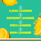Sparkling Ice Lemonade Variety Pack, Flavored Sparkling Water, Zero Sugar, With Vitamins And Antioxidants, 17 Fl Oz, 12 Count (B