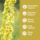 Olvvla Mullein Leaf Tea Bags - 100% Natural, Caffeine-Free, Lung Cleanse - 30 Count