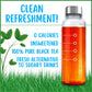 Unbrewed Planet Instant Iced Tea - 100% Pure Black Tea - 30 Single Serve Stick Packs - Unsweetened - Vegan - Gluten Free - On-Th