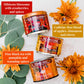 The Republic of Tea Harvest Stackable Tea Tin Autumn Assortment 36 Tea Bags 12 Count Pack of 3