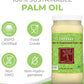 100% Palm Oil - 16 Fl Oz