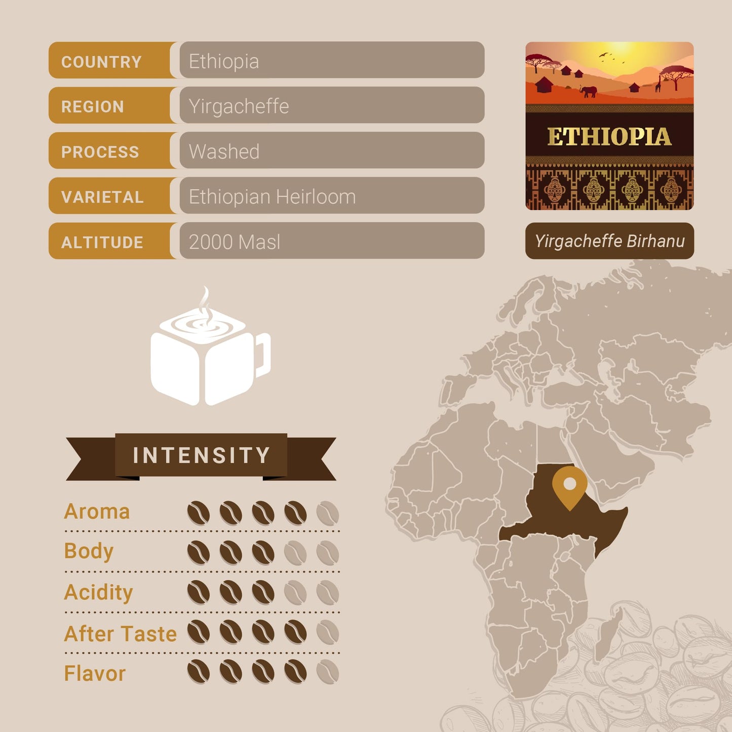 Cubico Coffee Ethiopian Yirgacheffe Whole Bean Coffee - Premium Fresh Roasted Coffee - 12 Ounce Bag