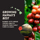 Angelinos Coffee Hawaiian Hula Reserve Whole Bean Hawaiian Coffee Blend, Medium Roast With Chocolaty Notes And Floral Undertones - Enhanced Hawaii Coffee Beans Blend