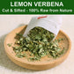 FullChea Lemon Verbena Tea - Premium Caffeine-Free Herbal Tea, 25 Count