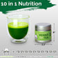 Kenko Tea Matcha Green Powder - USDA Organic, Ceremonial Grade, 1 oz (30 servings), Green