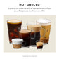 Nespresso Professional Coffee Capsules  Balanced Assortment Coffee Bundle  300-Count Capsules