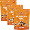 Pan s Mushroom Jerky, Vegan Snacks, Dried Mushrooms Shiitake, Plant based Jerky, Meatless Jerky, Gluten Free, High in Fiber, wi