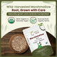 Organic Way Marshmallow Root Herbal Tea - Cut & Sifted, Organic & Kosher Certified, Non-GMO, 1/2 lbs (8 oz), Origin: Albania