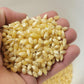 White Popcorn Butterfly Popcorn Kernels Hulless 50 lbs popcorn kernels unpopped by Princeton Popcorn Farm Grown Non-GMO Gluten F
