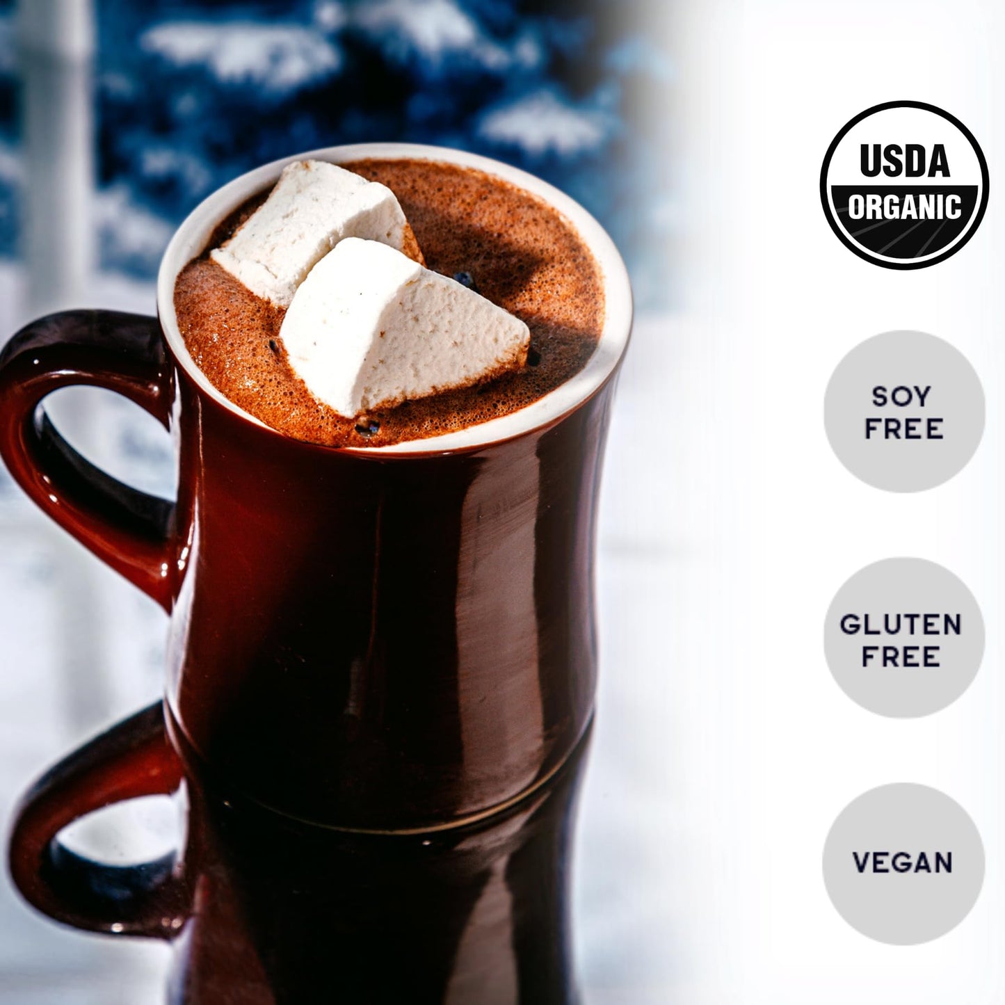 Raaka Hot Chocolate Mix - Vegan, Organic, Gluten & Dairy Free - 8oz Bag