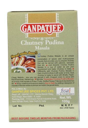 Ganpatjee Pudina Chutney Masala, 200G | Pack Of 100G X 2 | Ready To Use Mint Chutney Masala