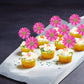 24Pcs Daisy Cupcake Toppers Flower Cake Topper Decorations Daisy Cake Decorations Chrysanthemum Cupcake Toppers Spring Daisy Flo