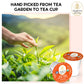 Organic Earl Grey Tea Pods For Keurig - Caffeinated Unsweet Black Tea For K Cup Brewing By Teavity (36 Tea Pods)