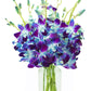 KaBloom Flowers - Mother's Day Collection - 10 Blue Orchid with vase, Gift for Birthday, Sympathy, Anniversary, Get Well, Thank 