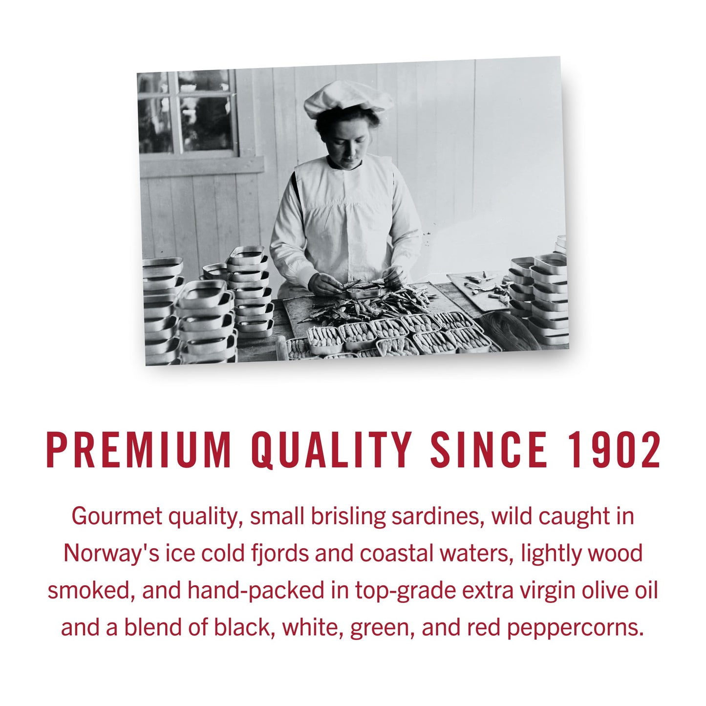 King Oscar Sardines in Extra Virgin Olive Oil with Spicy  ed Pepper, 3.75 oz Can, Wild Caught, Model 3480000655