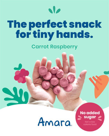 Amara Smoothie Melts - Carrot Raspberry - Baby Snacks Made With Fruits And Vegetables - Healthy Toddler Snacks For Your Kids Lun