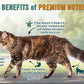 Chicken Soup For The Soul All Natural Enhanced Dry Kitten Food, Real Meat First Ingredient, No By-Products, Supports Brain & Vision Development, Chicken, Brown Rice & Pea, 12Lb