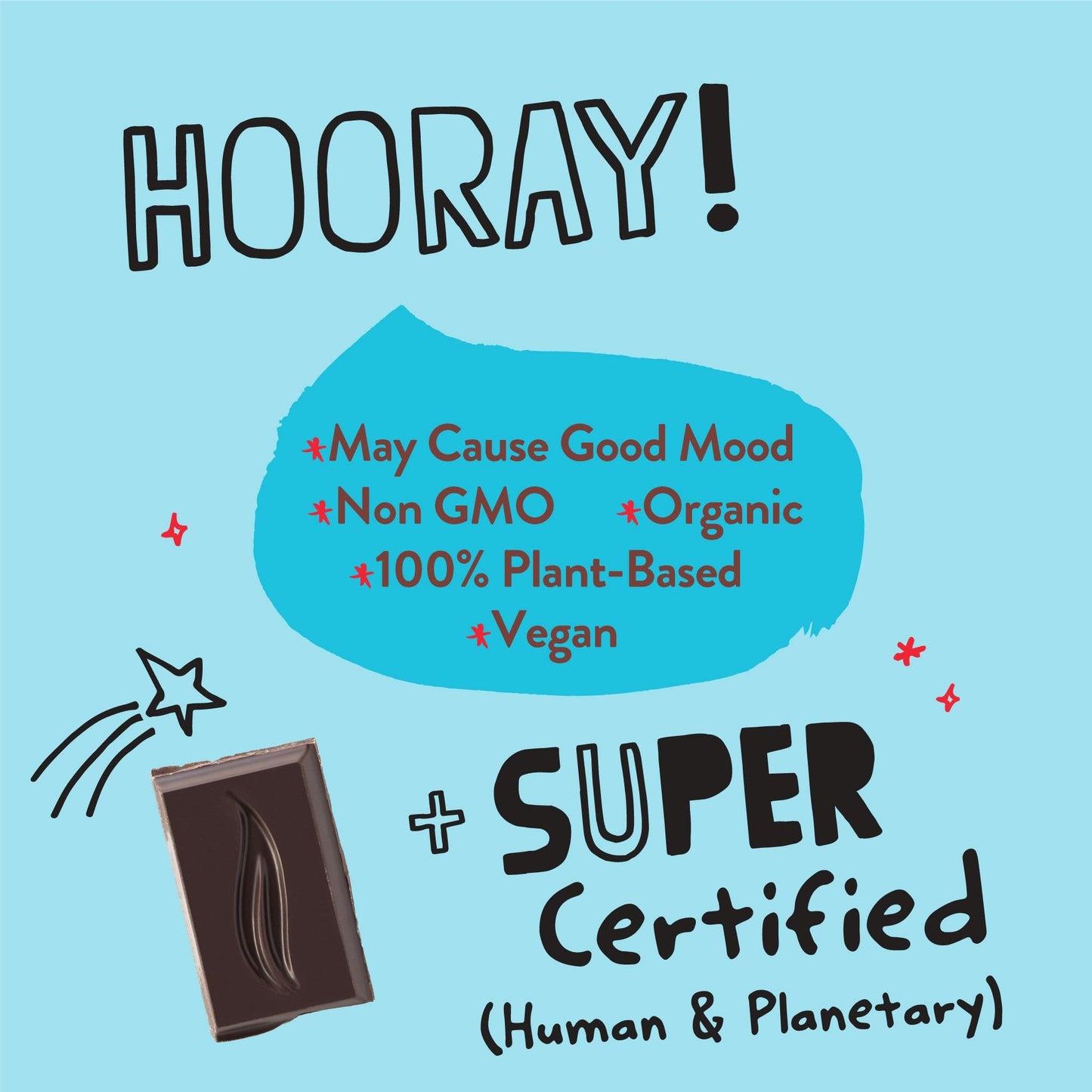 Pascha Organic Vegan Dark Chocolate Bars 55% Cacao With Cocoa Nibs, 2.8 Oz, Pack Of 10
