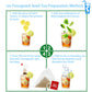 SAMCCI Fenugreek Seed Tea Bags - Herbal Tea, Non-GMO, Caffeine-free, 50 Teabags, 3g each