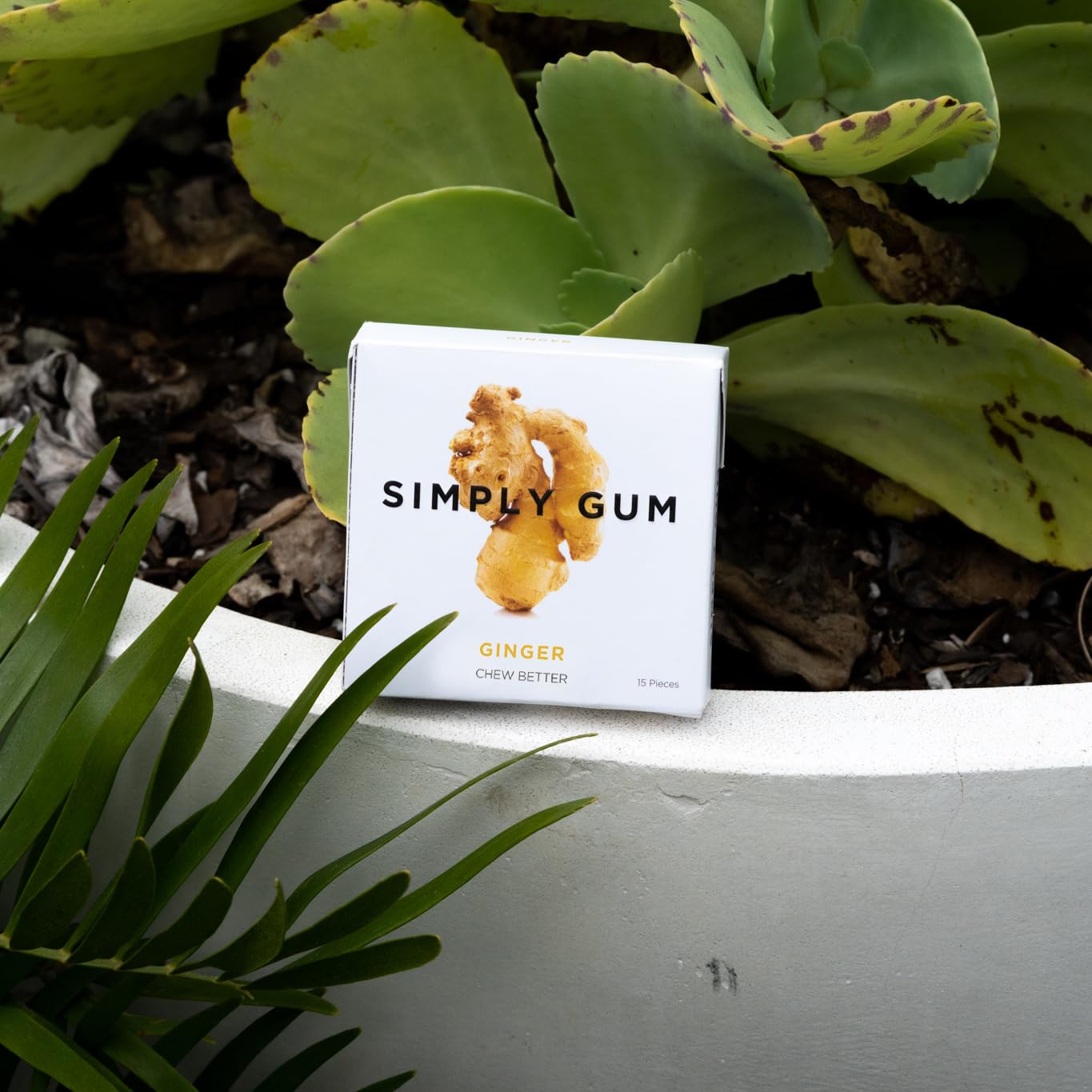 SIMPLY Gum Ginger, Plastic-Free Natural Chewing Gum, Made with real Ginger, 6 Pack (90 Pieces) | Vegan, Kosher, Non GMO, Asparta