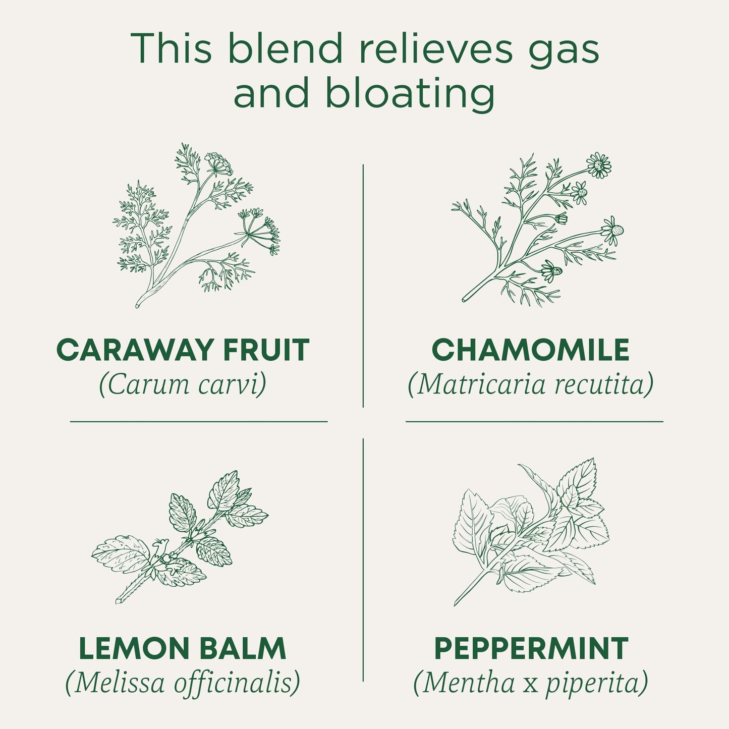 Traditional Medicinals Tea, Organic Gas Relief, Relieves Gas & Bloating, Chamomile Mint, 16 Count (Pack Of 6)