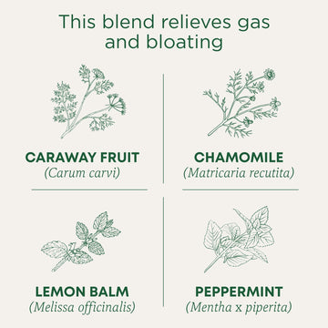Traditional Medicinals Tea, Organic Gas Relief, Relieves Gas & Bloating, Chamomile Mint, 16 Count (Pack Of 6)