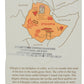 Stumptown Coffee Roasters Whole Beans  Ethiopia Guji  12 oz