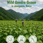 NICE WITCHS Korean Gondre Dried Wild Thistle for Bibimbap - 3.5 oz (100g) Natural Mountain Vegetable