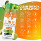 Juno JUNO ENERGY Limeade Still Drink - Sugar Free Electrolytes, Organic Caffeine, Vegan, Gluten Free, 12 Pack of 12oz