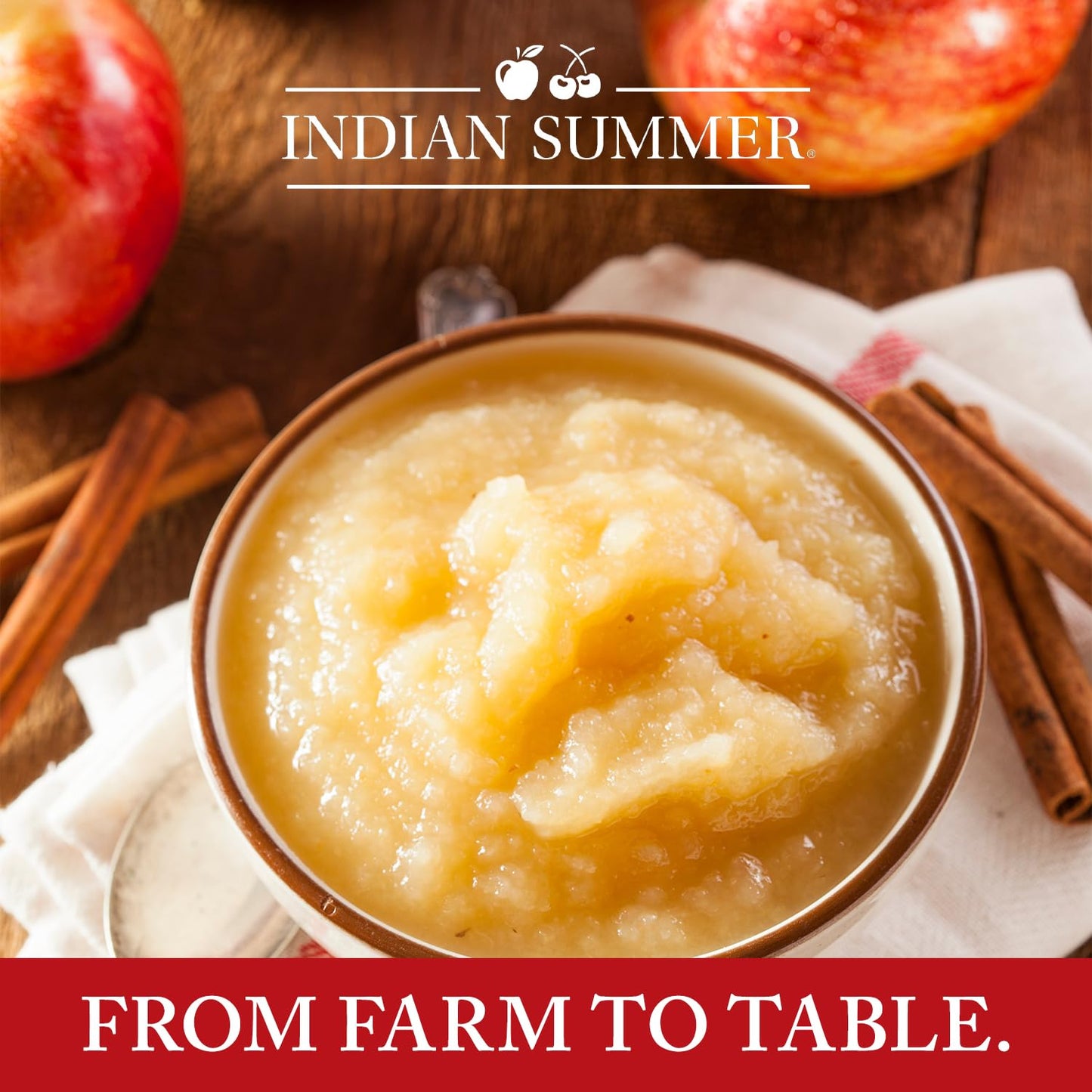 Indian Summer Enhanced Chunky Applesauce Made From Us Apples And American Growers (Natural, 24 Ounces Each, Pack Of 6)