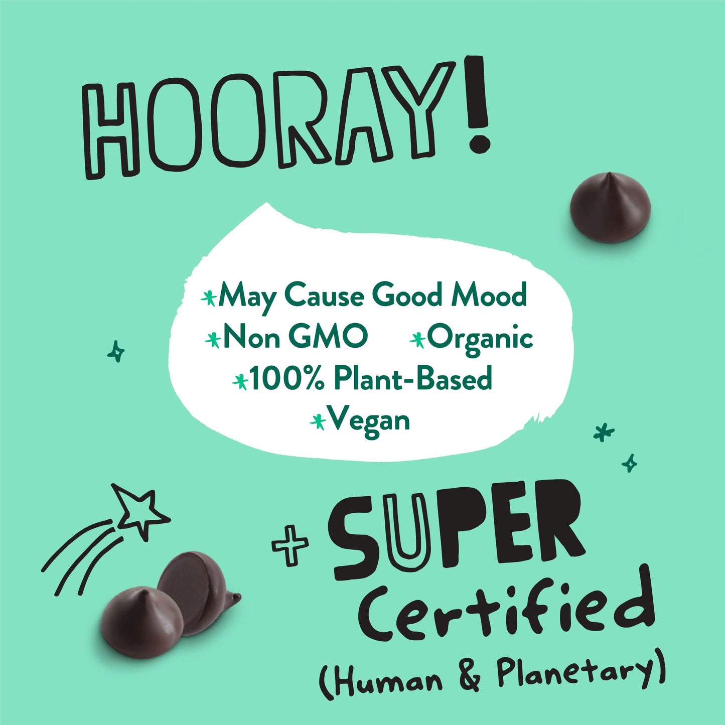 Pascha Organic Keto Sugar-Free Bitter Sweet, 70% Cacao Chocolate Baking Chips, Utz, Gluten Free, Non Gmo, Sweetened With Organic