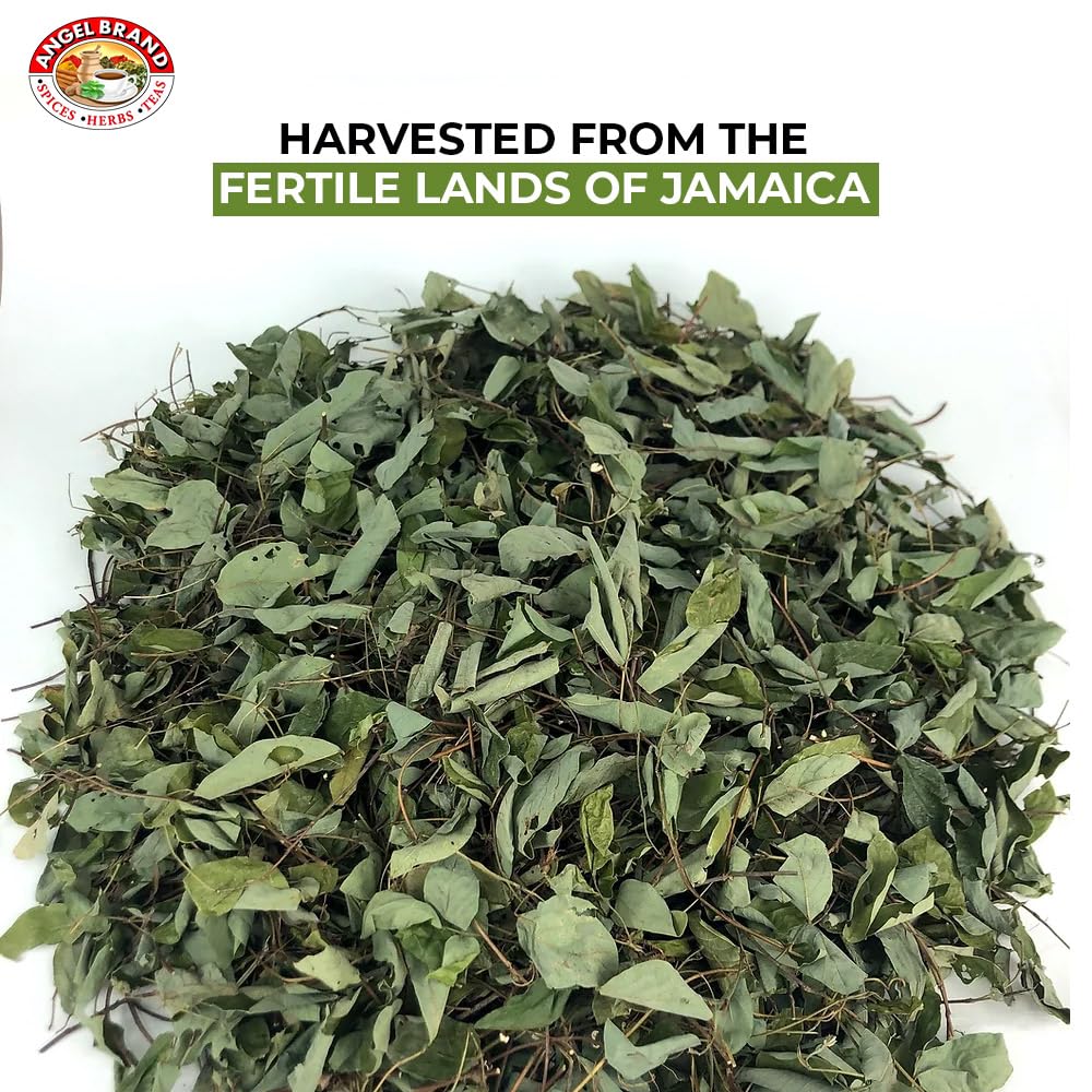 Angel Brand Jamaican Strongback Herb 0.25 Oz Pouch Pack Of 3 - Sourced From Fertile Land Of Jamaica- Strongback Earthy,Woody & B