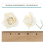 Global Sugar Art Peace Rose Sugar Cake Flowers - White, 2 Inch, 8 Count, Model 37823 by Chef Alan Tetreault