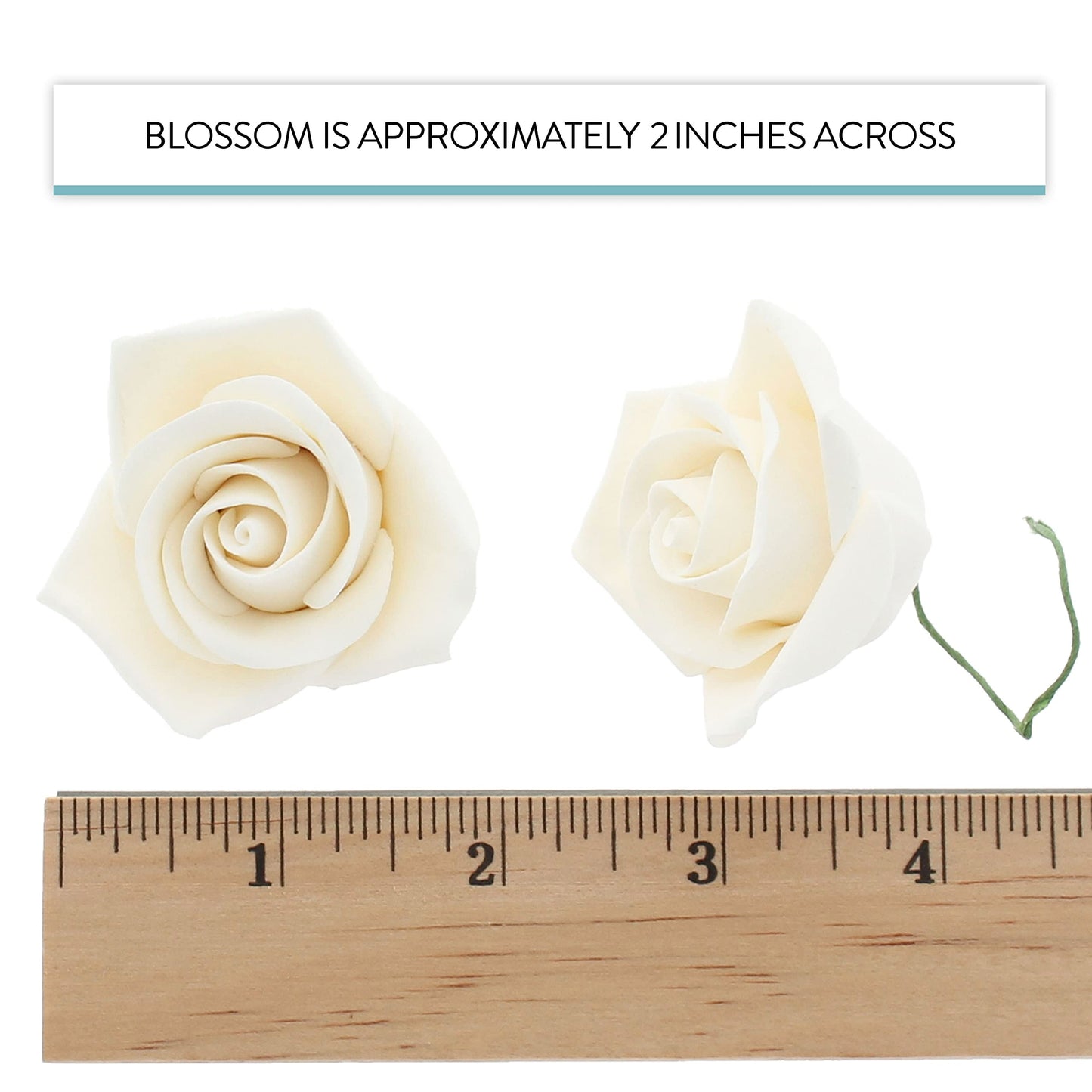 Global Sugar Art Peace Rose Sugar Cake Flowers - White, 2 Inch, 8 Count, Model 37823 by Chef Alan Tetreault