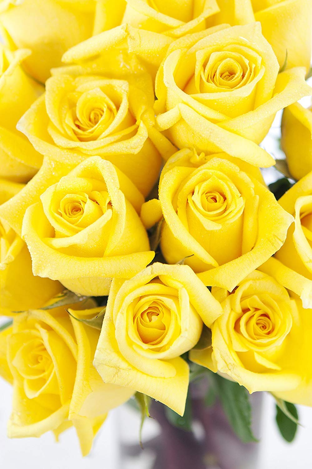Kabloom Flowers - Bouquet Of Sunshine Yellow Roses: 18 Yellow Roses With Vase - Gift For Birthday, Sympathy, Anniversary, Get Well, Thank You, Valentine, Mother’S Day Fresh Flowers