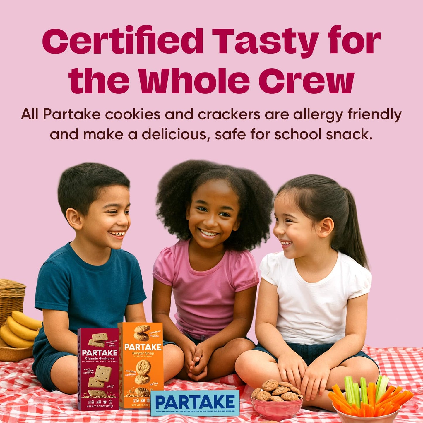 Partake Foods Gluten Free Crunchy Cookies Variety Pack (Chocolate Chip, Ginger Snap, Graham Cracker) - Vegan - Free From the Top